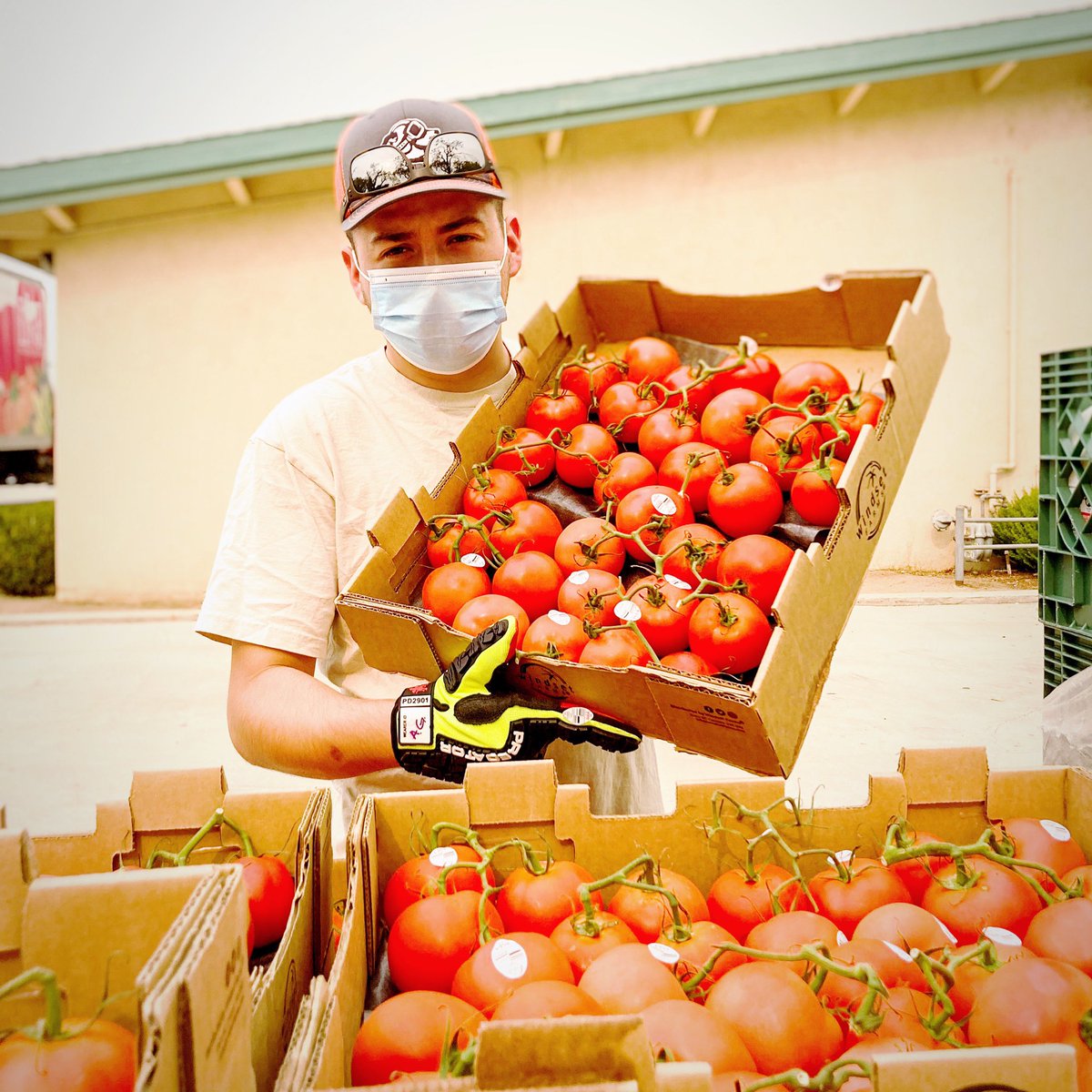 We served over 3,350 farm-working families in September through our food distributions! Every distribution allows us to provide direct support and food accessibility to farmworkers and their families. #cff #buildingbetterfutures #farmworkers #agriculture #fooddistribution