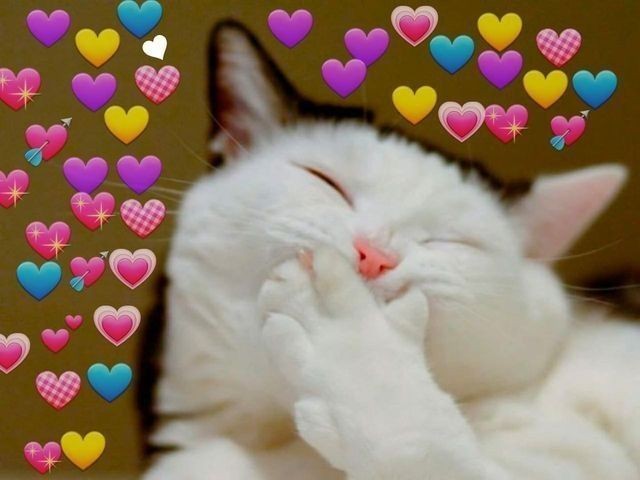SXUPOTEA's tweet photo. @TW_Canthra https://t.co/0HR1cgL0u4