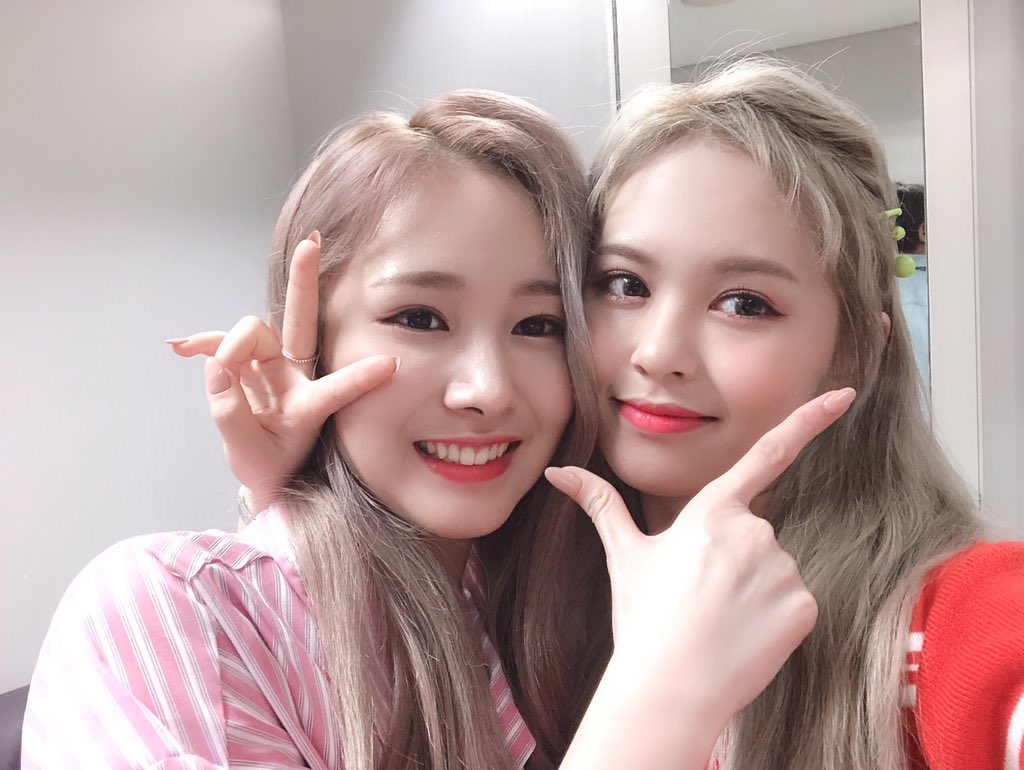 inglowmist's tweet photo. #𝕊ABRINA ✦ Nuevamente me robé a la peque de la familia porque el #CL5thCB se disfruta muchísimo más con buena compañía, y por suerte yo tengo a la mejor, que me da la manita y está lista para chillar #CLHELLOLIFTED junto a mí. 。*:☆(・ω・人・ω・)。:゜☆。 Les deseamos suerte. https://t.co/bzoPlJIwHz