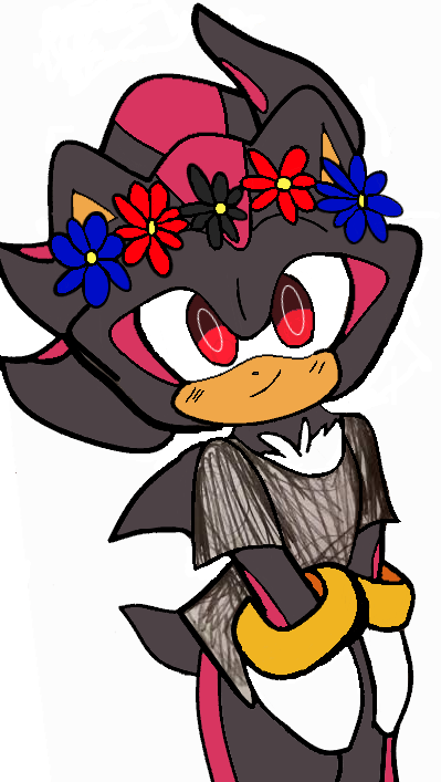 NaomiKunChan1's tweet photo. #Shadow #ShadowTheHedgehog #Shadowuke https://t.co/UQhR6NZ134
