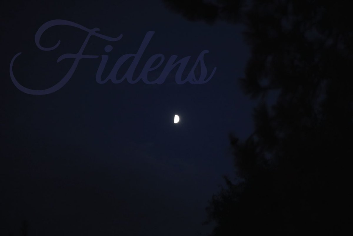 Fidens Brewing Company (@fidensbrewing) on Twitter photo 