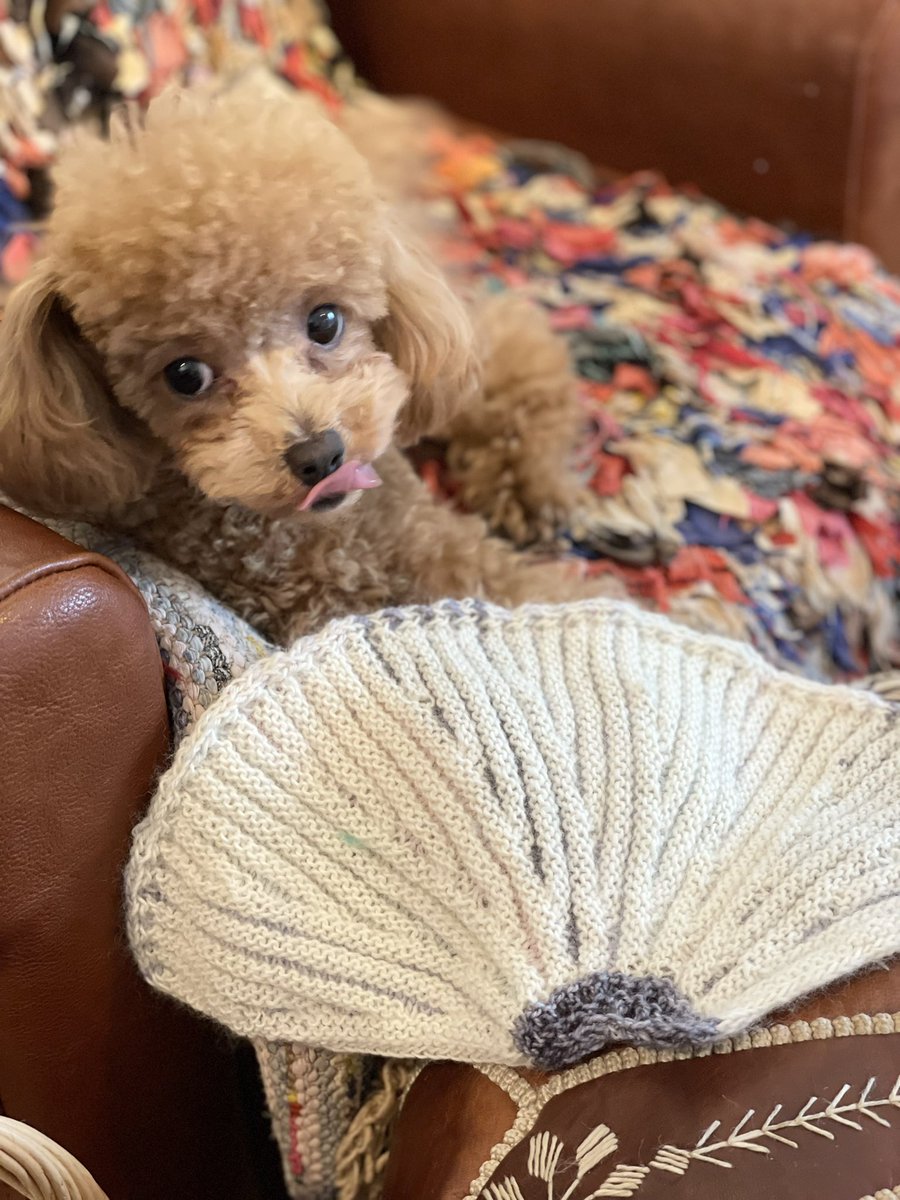 eri3eri3eri3's tweet photo. 途中経過
#knitting 
#編み物 https://t.co/lDKkWpqElL