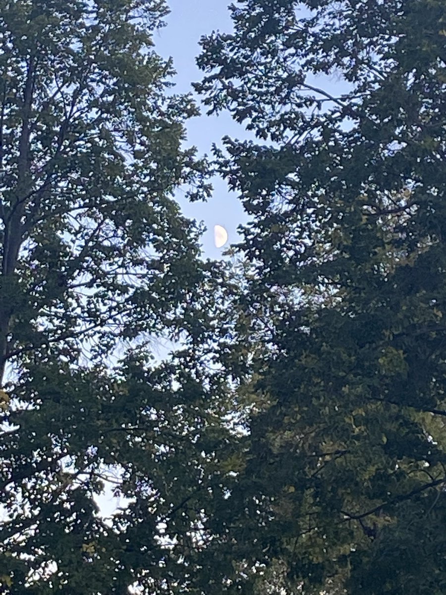 moon tweets tweet media