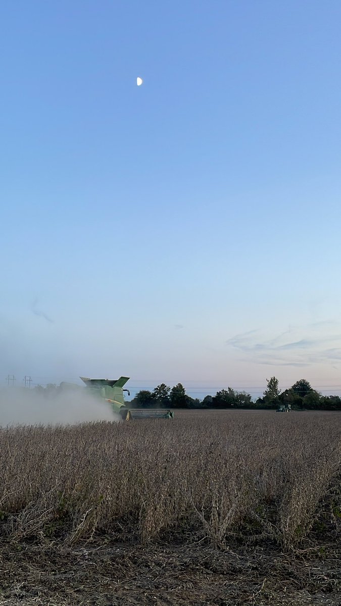 Nick Crouch tweet media