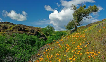 ButteCountyHR's tweet photo. Would you like to work for Butte County?  Here's your chance!  Take a look at the MANY opportunities to begin your career or expand your career with Butte County:

https://t.co/EA9i894rri https://t.co/0XNHNBu7fn