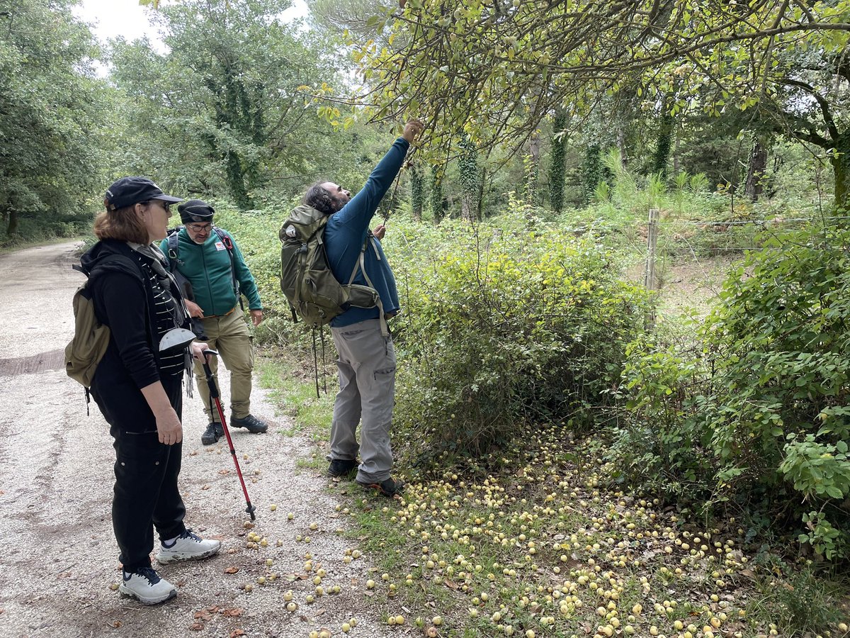 It was like a scene from a film. After our 3 hour hike through the bosco (woods), we were very ready for lunch. The panini, the songs, the local wine, a little rain and all those who passed by made this a party in a town that has 20 families!