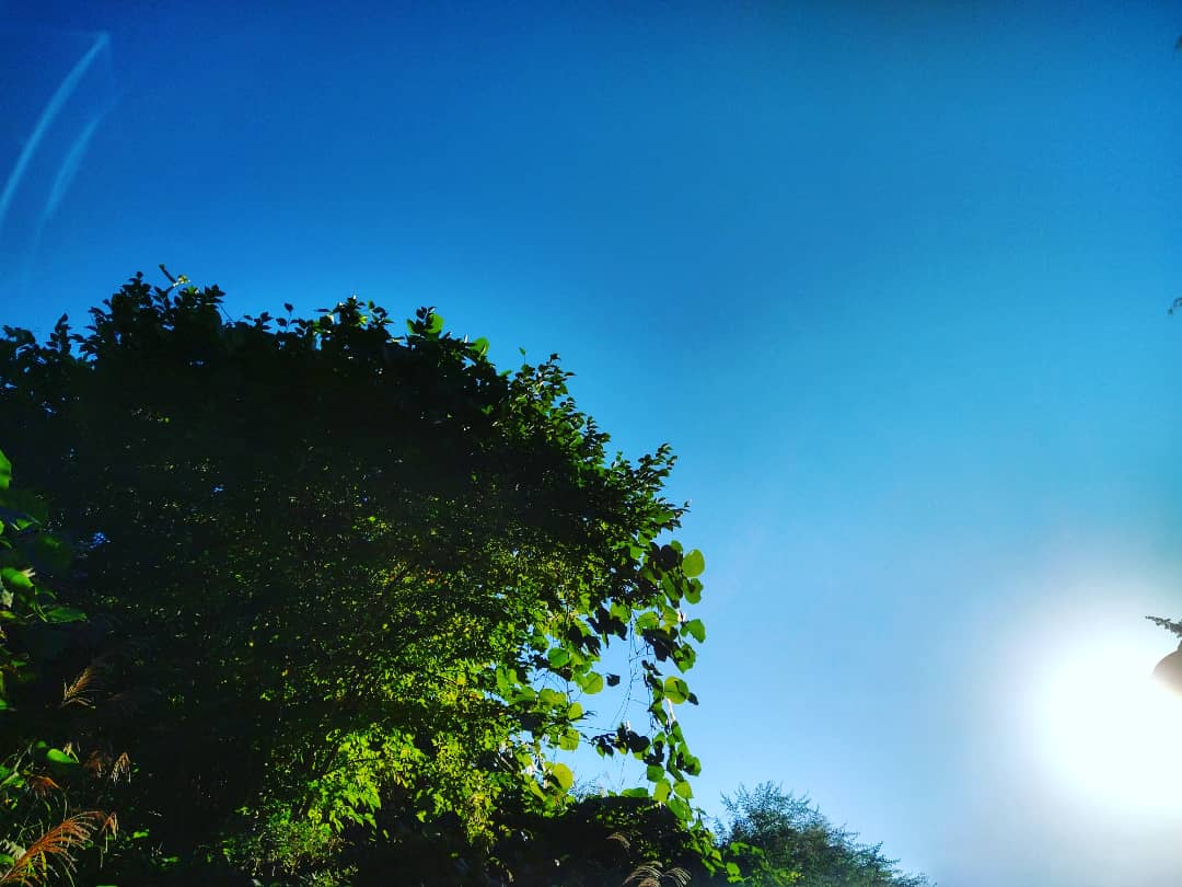 chape285's tweet photo. 10月14日木曜日の眩しい朝
٩(*´︶`*)۶おはよ〜♬
ポジティブに前向きに
今日も無事に過ごせますように https://t.co/1G1v9gPuej