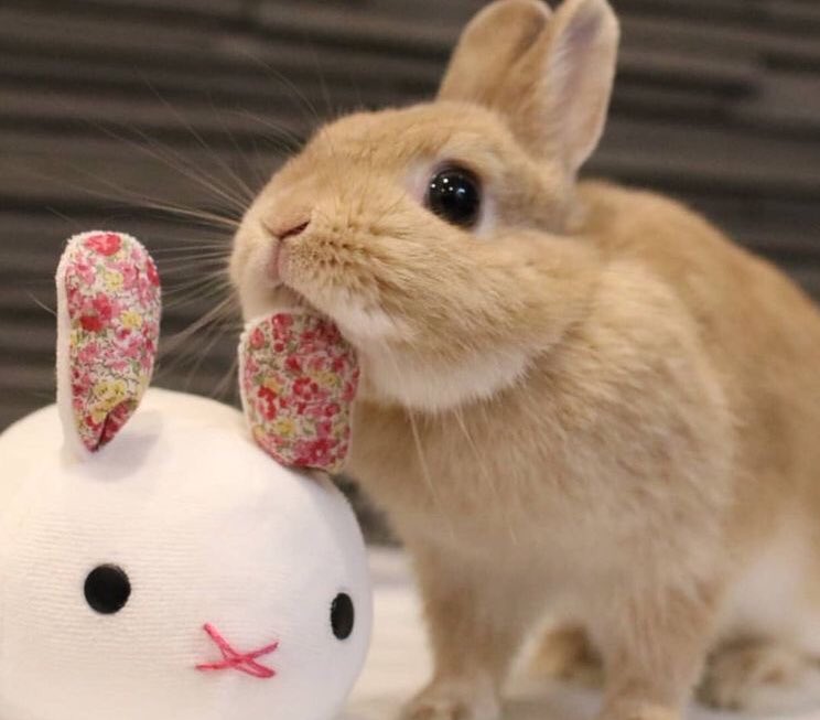 🧸
#NCT127  #DOYOUNG   #도영