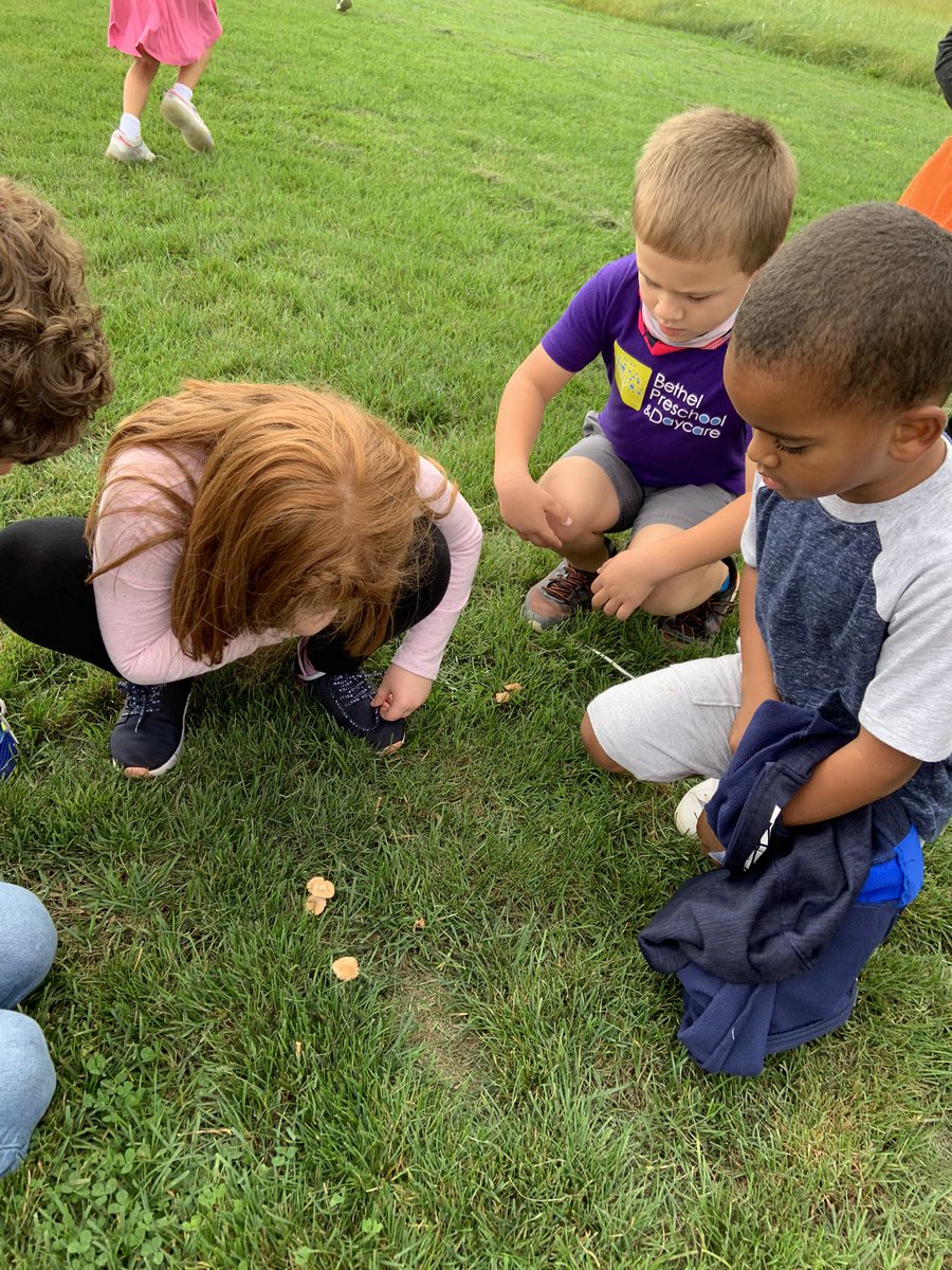 lrgraham23's tweet photo. It was a beautiful day for Outdoor Classroom! Ss were working on identifying letters, counting, collaboration, and so much more. They love learning outdoors, and so do I! #mountrockengaged #outdoorclassroom https://t.co/z7mJsSMgty