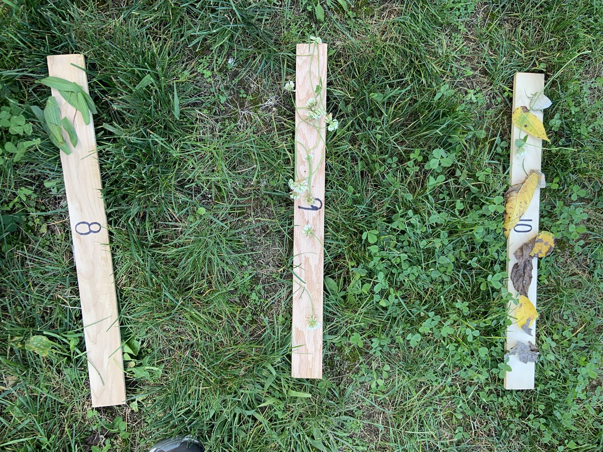 It was a beautiful day for Outdoor Classroom!  Ss were working on identifying letters, counting, collaboration, and so much more. They love learning outdoors, and so do I!  #mountrockengaged #outdoorclassroom