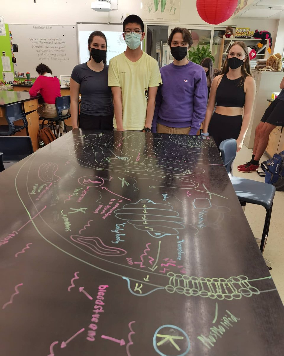 lhhsscience's tweet photo. Writing on desks isn't always bad ♥️ #Biology #learningisfun #smartkiddos #endomembranesystem https://t.co/a0DmsbEgfp