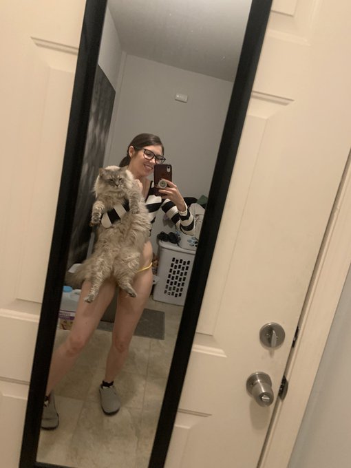 Say hello to my little friend https://t.co/snmz69jX7i