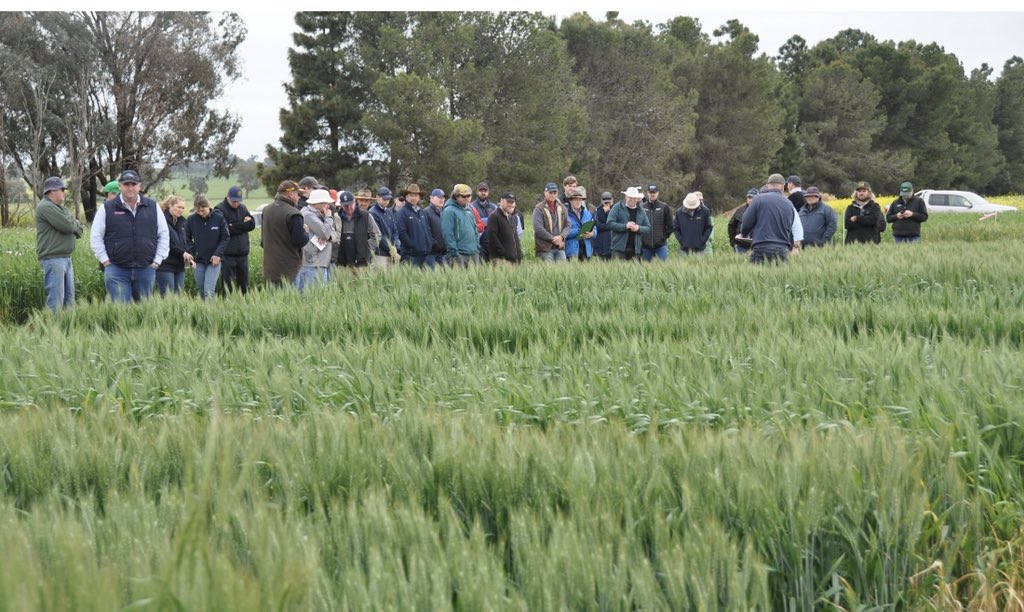 HBS field day - picked a winner with the weather #weatherwranglers #CoffeevanhithespotBASF