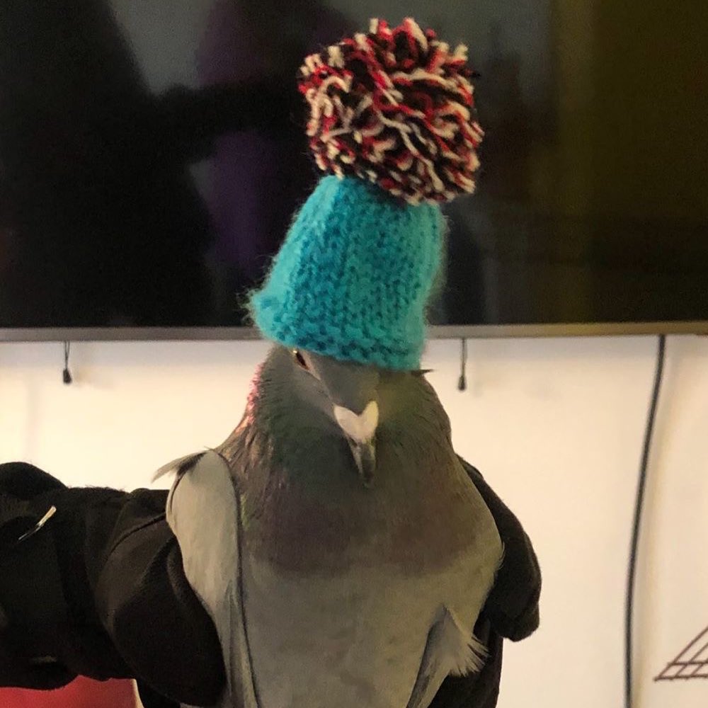 Me 0.01 seconds after a leaf hits the ground