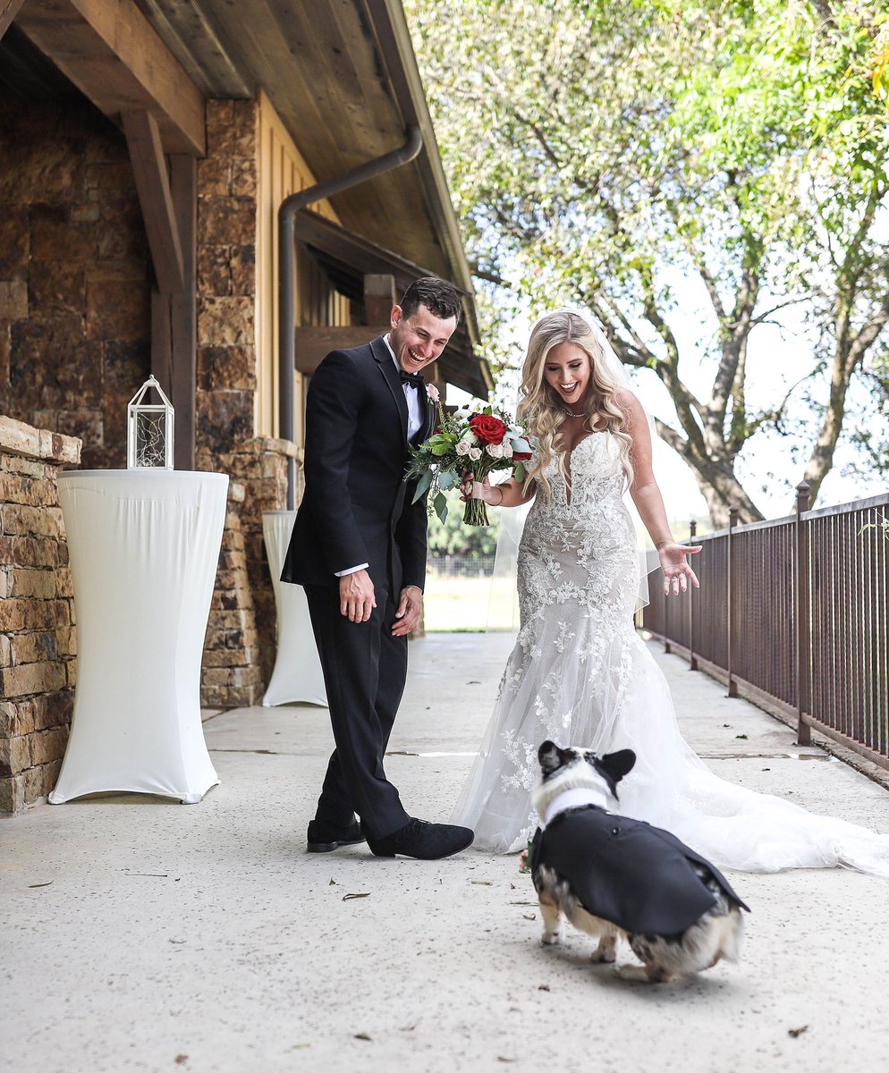 caseylynn_g's tweet photo. 10/10 recommend doing a first look with your fur baby 🥰🐾❤️ https://t.co/E96ZpBXVwx