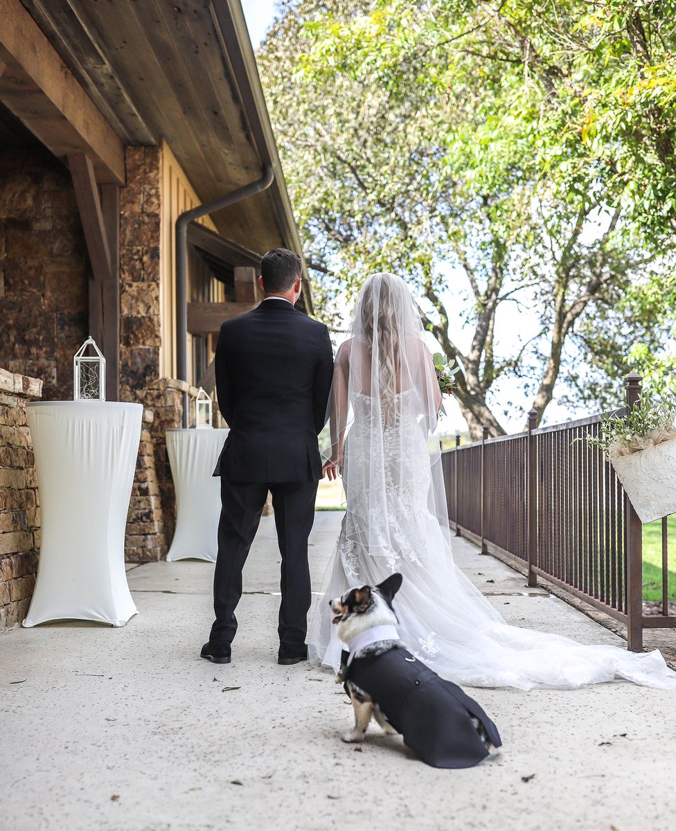 caseylynn_g's tweet photo. 10/10 recommend doing a first look with your fur baby 🥰🐾❤️ https://t.co/E96ZpBXVwx