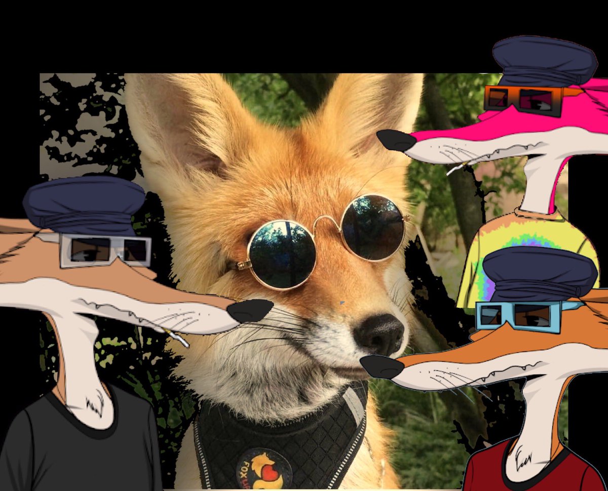 NeuroCryptAmir's tweet photo. @FoxxiesNFT @richthekid Foxxie Family https://t.co/juqEeL4pQL