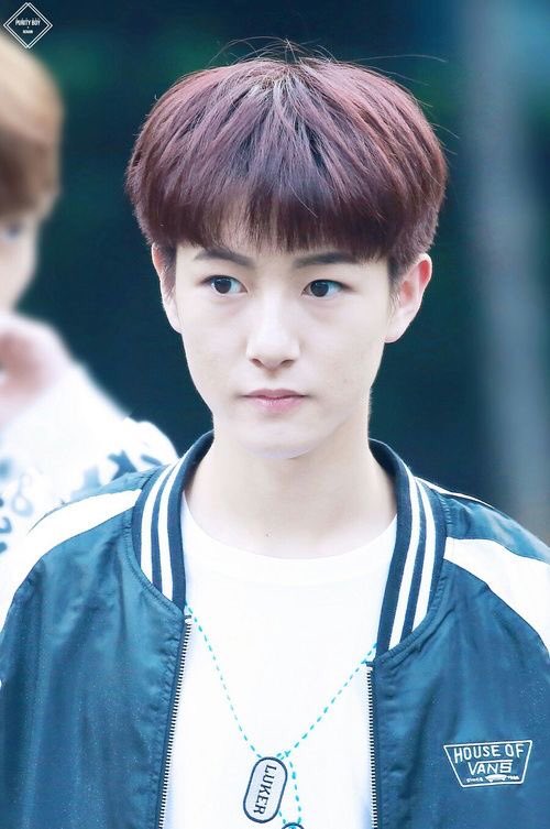 rnjnshawty's tweet photo. Yes cutie https://t.co/oUTYlaqvig