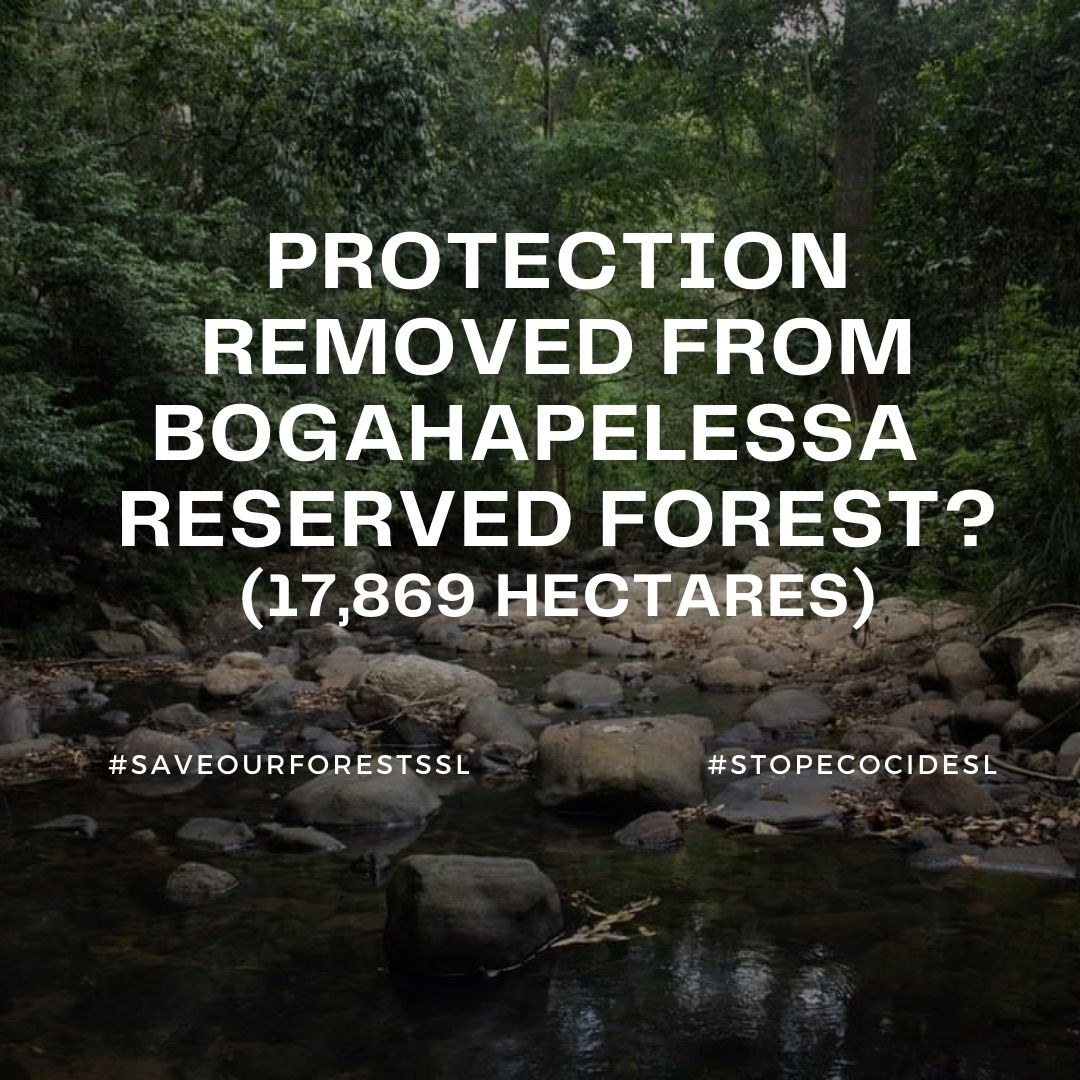 cansrilanka's tweet photo. ⚠️Legal protection is removed from Bogahapelessa Reserved Forest, gazetted in 2013 (17,869 ha/178 km) through a new gazette (No. 2249/04 - 16/92021). This is a critical habitat and a feeding ground for Elephants, Leopards and other wildlife
#SaveOurForestsSl #StopEcocideSL #lka https://t.co/rPLIfwGEJB