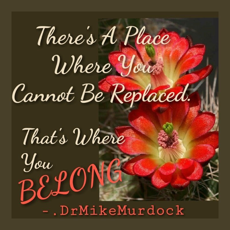 BrandyFarris's tweet photo. #thoughts @drmikemurdock
Learn how to do business with #God. He wants you to #prosper. Check Out
Dr Murdock’s books and change your life.#learntodowell
https://t.co/dRmvrzAD2p https://t.co/hsVomVVsff