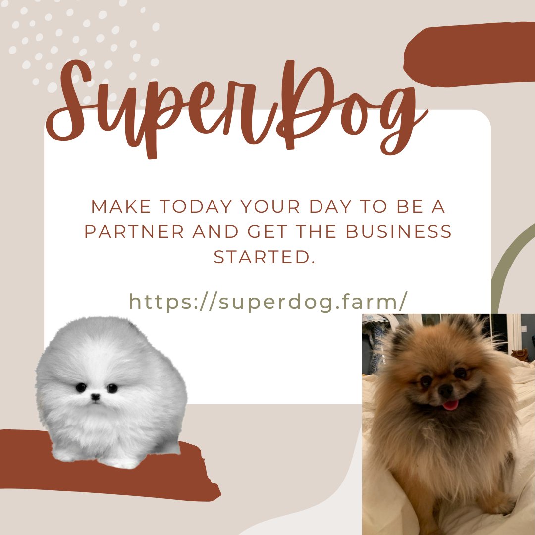 PomSuperdog's tweet photo. Make today your day to be a partner and get the business started. Visit https://t.co/Y9mTVa9ZfD
#superdog #POM #cryptocurrency #bitcoin #crypto #blockchain #btc #forex #money #ethereum #trading #bitcoinmining #investment https://t.co/dmyMnFykoT