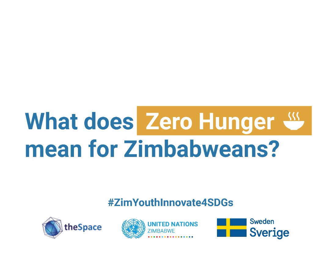thespacezw's tweet photo. What Does Zero Hunger mean for Zimbabweans? What does it mean for you? Joining on the 19th @ 7pm Twitter Spaces #ZimYouthInnovate4SDGs @UNZimbabwe @TatendaMachaka @WFP_Zimbabwe
@SwedeninZW
@Ribeiro6Maria
@PehrsonA
@UN_SDG
@AminaJMohammed
@UNPiper
@carogazevedo https://t.co/PLUTMcAsJF