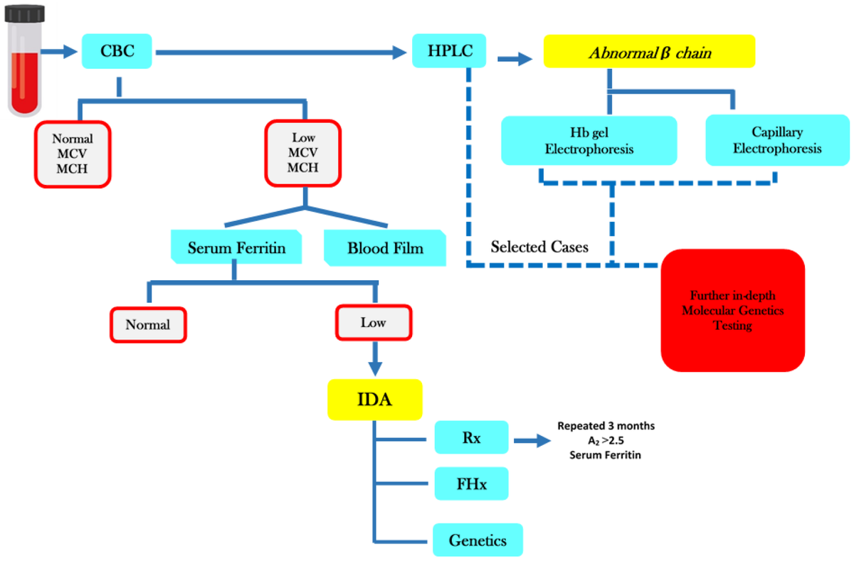 JPM_MDPI's tweet image. Article: The Prevalence of β-Thalassemia and Other #Hemoglobinopathies in Kuwaiti Premarital #Screening Program: An 11-Year Experience by Dr. Nagihan Akbulut-Jeradi from Advanced Technology Company. mdpi.com/1293028 #mdpijpm via @JPM_MDPI