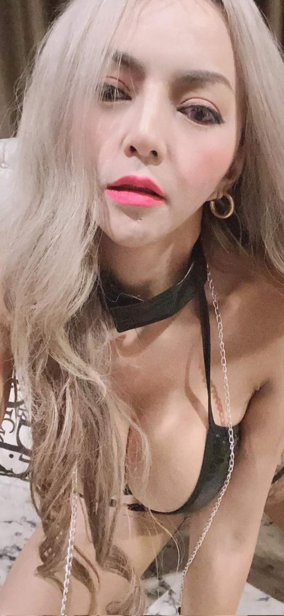 ทาสควย💋 tweet media