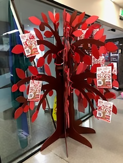 ballycara's tweet photo. Redcliffe Hospital's Giving Day was an overwhelming success!
The generosity of our community is amazing.
Village Residents raised $258.35 with a sausage sizzle at Happy Hour yesterday afternoon.

You can still donate at: https://t.co/EMljccuCbw

#fundraising #healthcare #research https://t.co/nwnJQ5OgPm