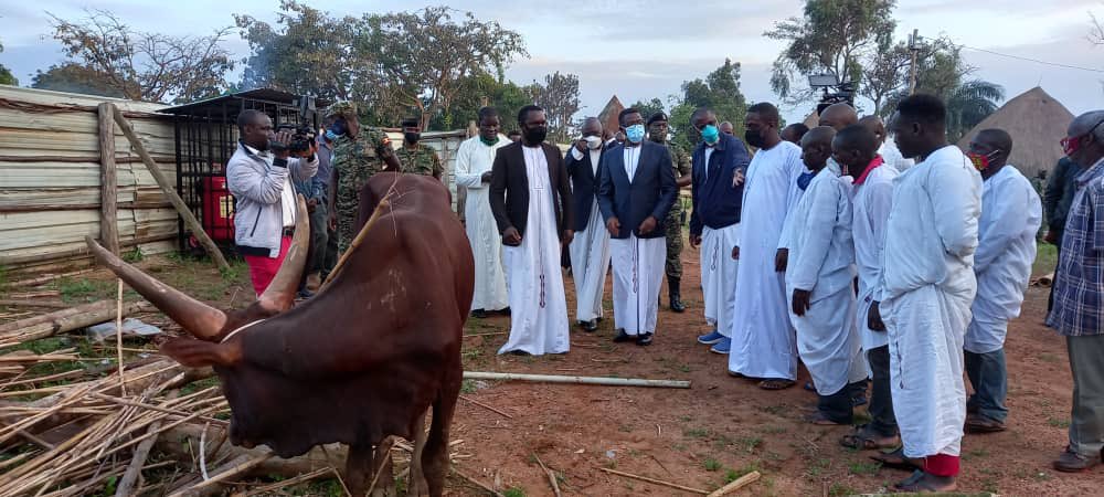 cpmayiga's tweet photo. Leero tukoze omukolo omukulu ennyo ogukulembera okusereka Muzibu Azaala Mpanga. Ssaabasajja Kabaka yatukwasizza Omulangira Daudi Ccwa era akwasizza Wabula Akayole obuyole buna. 

Okusereka kati kutandise. 

Nneebaza abo bonna abakoze kyonna okulaba nga tutuuka wano. https://t.co/6vFQvs3cDH