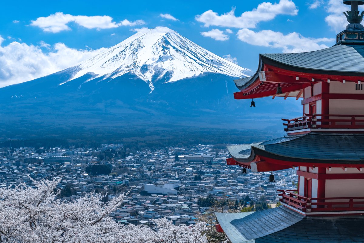 Une vraie carte postale du Japon : cerisiers en fleurs, pagode et mont Fuji😍
