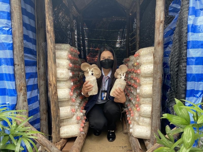 nainice03's tweet photo. ช่วงกลางวันขอแนะนำเมนูพิเศษเทศ��าลกินเจผลผลิตดีๆ จาก #SansiriBackyard มีเห็ดนางฟ้าภูฐานจากโครงการ #เศรษฐสิริ ปิ่นเกล้า-กาญจนา และปอเปี๊ยะเห็ดทอดกรอบคู่น้ำจิ้มรสเด็ด ทานกับน้ำขิงร้อนๆ จากโครงการ #ฮาเว่น พหลโยธิน ลูกบ้านชื่นชมเป็นเสียงเดียวกันว่า "อร่อยมาก" ค่�� #PlusLivingManagement https://t.co/5JphYFuQmJ
