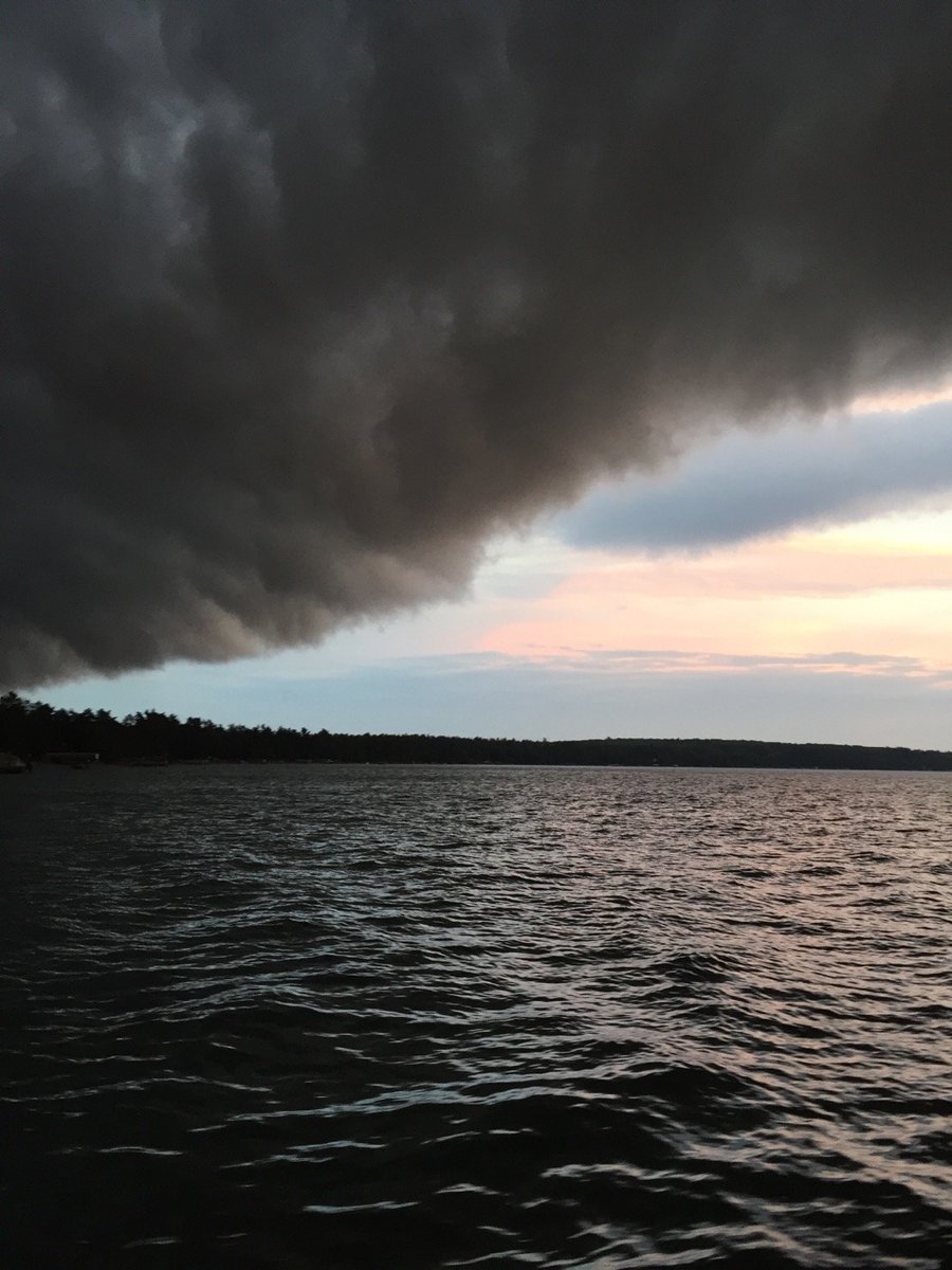 Archillect (@archillect) on Twitter photo 