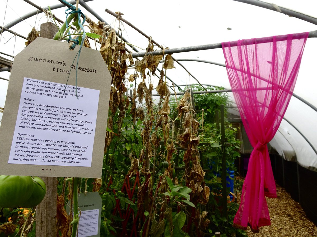 BoundaryWay's tweet photo. We enjoyed sharing poems in the Polytunnel on Saturday - created during lockdown by Boundary Way Writer’s Group as well as commissioned poems.
Made possible with support from #culturalrecoveryfund for heritage.
#hereforculture
Part of #Wolverhamptonopenstudios https://t.co/Wp25H3A7Ug