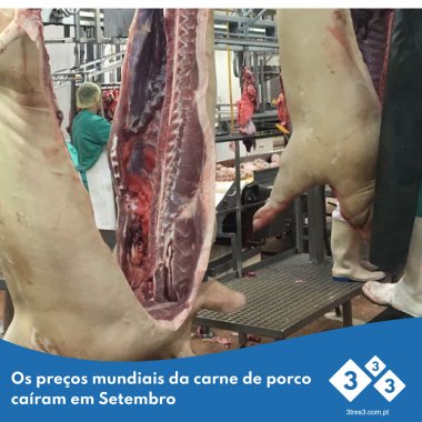 3tres3pt's tweet photo. De acordo com o índice de preços da carne da FAO, os preços mundiais da carne de porco baixaram em Setembro.
https://t.co/O3vzri12Qz https://t.co/TYGV2lrQyf