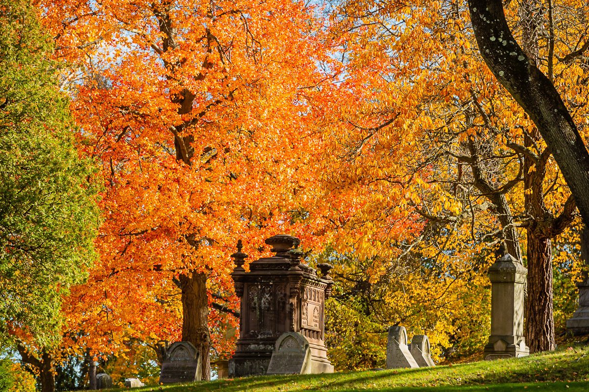 Riverside Cemetery: Art, History &amp; Nature walking tour 1 pm Sunday. 496 Riverside St., Waterbury. Covers rural cemetery movement, Victorian cemetery symbols, industrial revolution and more.