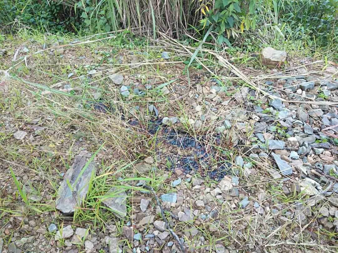 katycho22222's tweet photo. Tw // Death
SAC shot dead 2 Tuphei villagers: Pa Thawng Lun Mang(29) &amp; Salai Thawng Nei Mawi(34),near Htinshuu camp in #Falam Tsp, chin state. The bodies dumped by Junta on the roadside was found yesterday morning.
#WhatsHappeningInMyanmar
#Oct14Coup https://t.co/UXOPyJYUzV