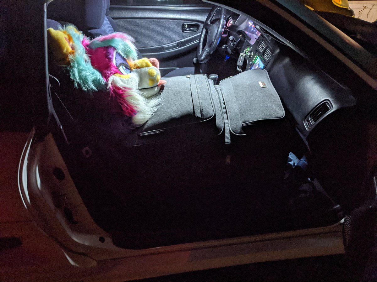 DolbyVixen's tweet photo. #SmallCarProblems https://t.co/pbXsgU2ERv