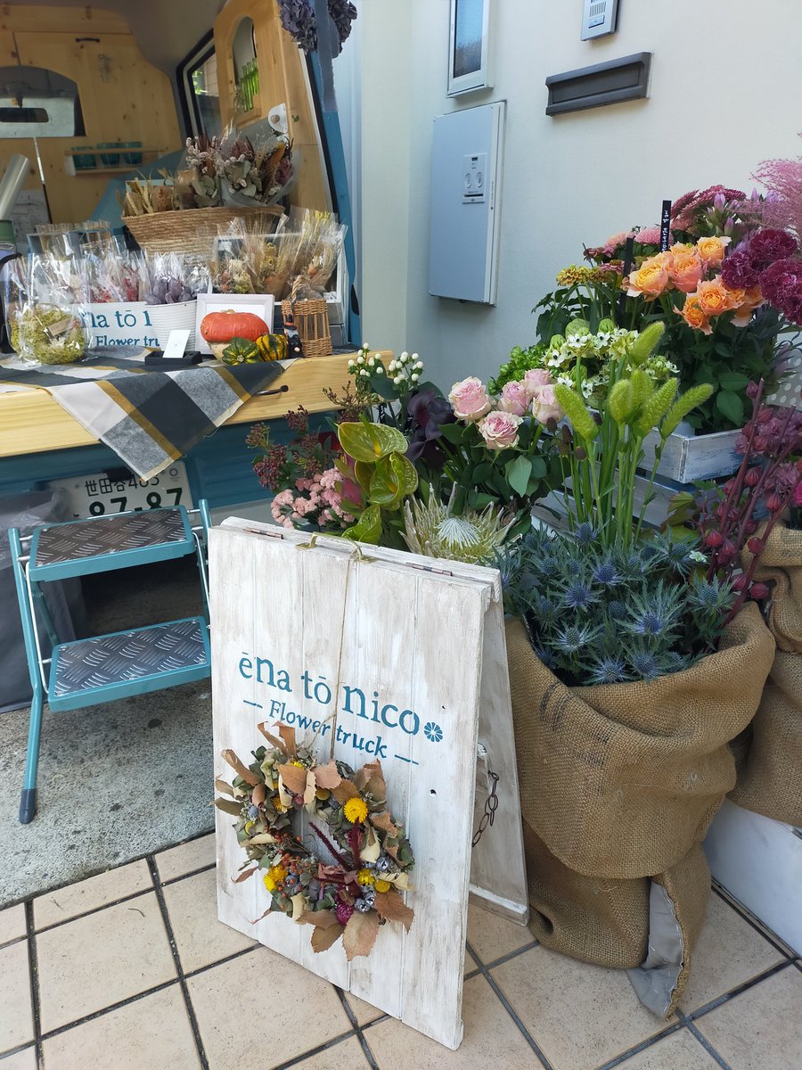 ポム ホワイトプリムローズ 見習い民泊オーナー White Prim Rose Twitter