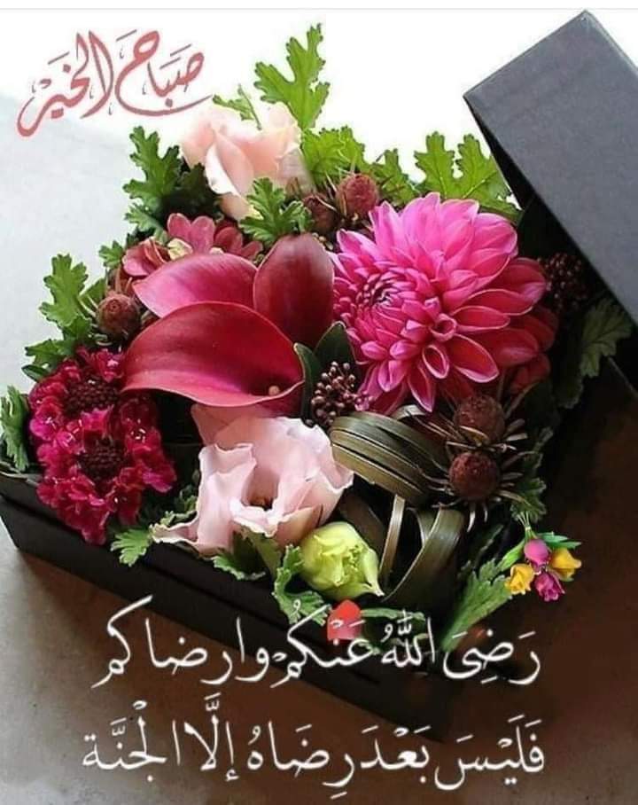 Dalal Alnafisi (@dalal74788406) on Twitter photo 