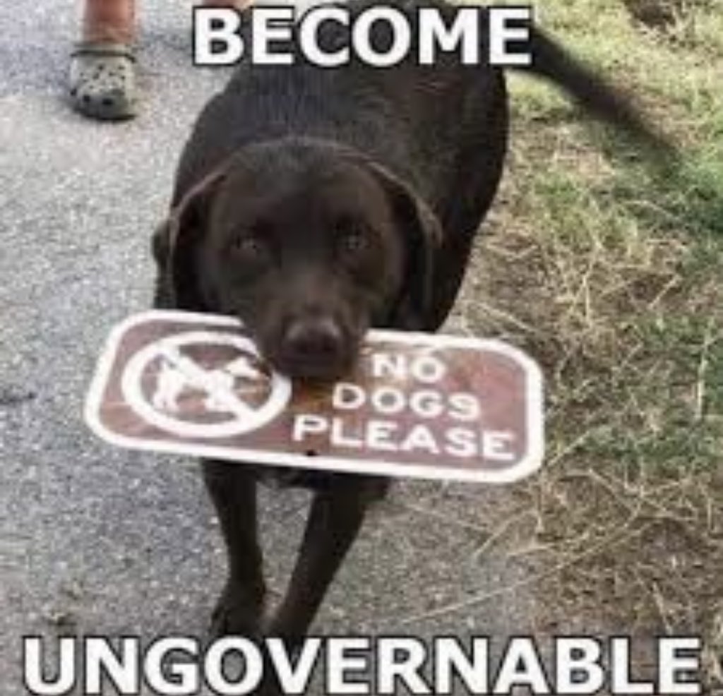 katbuglione's tweet photo. #BecomeUngovernable #nooneforpresident https://t.co/sXpVnm4pLF