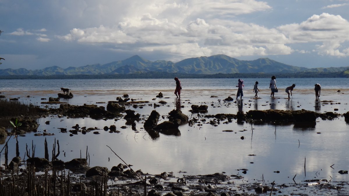 SnailerTaylor's tweet photo. Who do you picture when you hear the word "fisherman"? Though we may not realize it, access, use, decision-making, and care over #naturalresources are largely influenced by #gender. @DanikaKleiber explains how feminist approaches can help empower fisheries. #NREMseminar https://t.co/hGzC3d36aE
