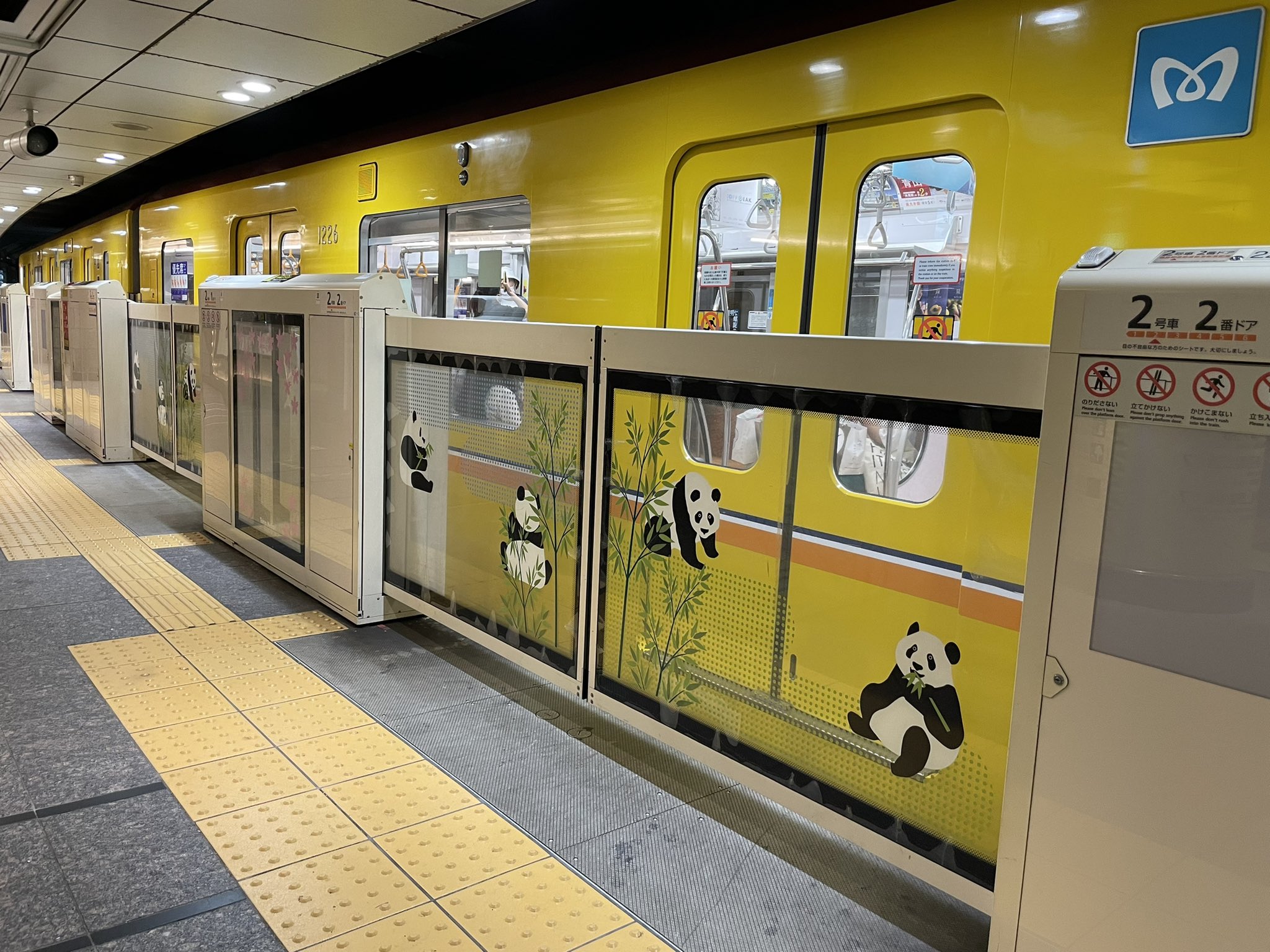 上野案内所 Ueno Information Center ちなみに電車が到着して ホームドアが開くと ホームドアの桜のフレームの中に パンダが現れます 上野の桜とパンダ こんなところにもワクワクが詰まってます 鉄道の日 銀座線上野駅 T Co