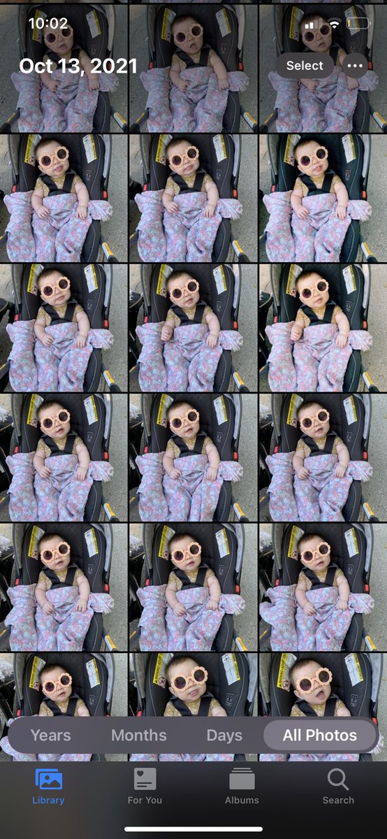 polly darton tweet media