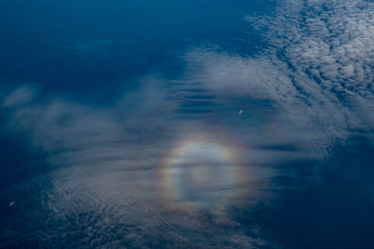 NPAImages's tweet photo. Known as a Pilot glory’s #rainbow #trout #indigo #rayed #steelhead #love #art #nature #photography #handmade #loveislove #instagood #colorful #colors #beautiful #rain #sky #photooftheday #fashion #cute #instagram #unicorn #color #purple #blue https://t.co/Vtn2SSFrgd