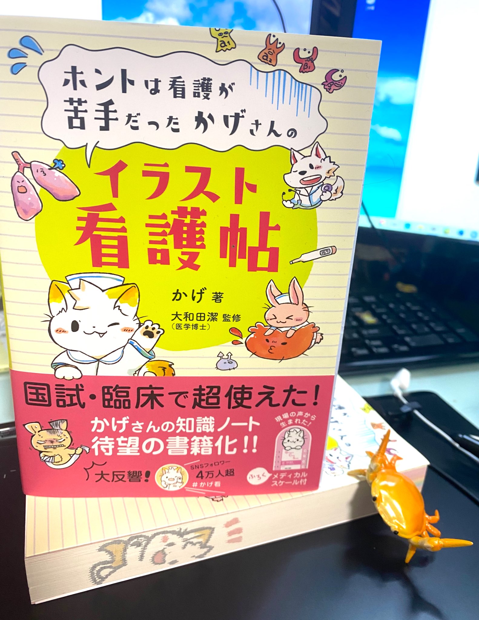 看護師のかげさん イラスト看護帖書籍化 99emergencycall 1 オレムのセルフケア理論 2 キングの 目標達成理論 3 カゲのsns看護論 4 ヘンダーソンの14項目の基本的ニード論 これだ Twitter