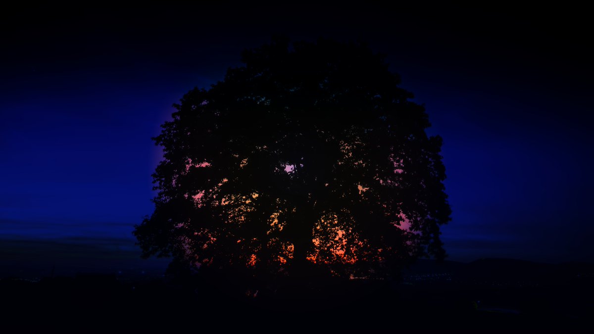 celebratus's tweet photo. @NFTHunterWeb https://t.co/XNGZFRSQ7c

#Skytrees #NFT 

This is a #collection of #skies and #trees on #opensea.

#NFTs #nftphoto #nftphotography #NFTcollection https://t.co/dGDccoGWbS