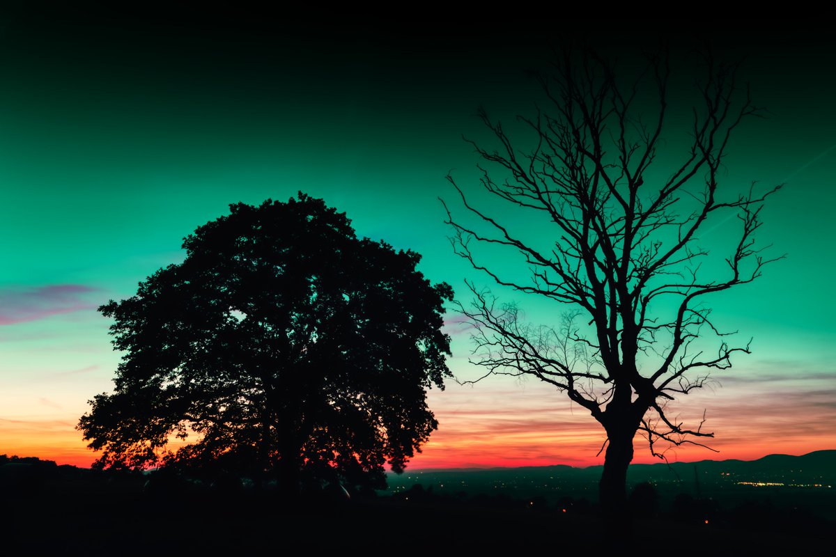 celebratus's tweet photo. @NFTHunterWeb https://t.co/XNGZFRSQ7c

#Skytrees #NFT 

This is a #collection of #skies and #trees on #opensea.

#NFTs #nftphoto #nftphotography #NFTcollection https://t.co/dGDccoGWbS