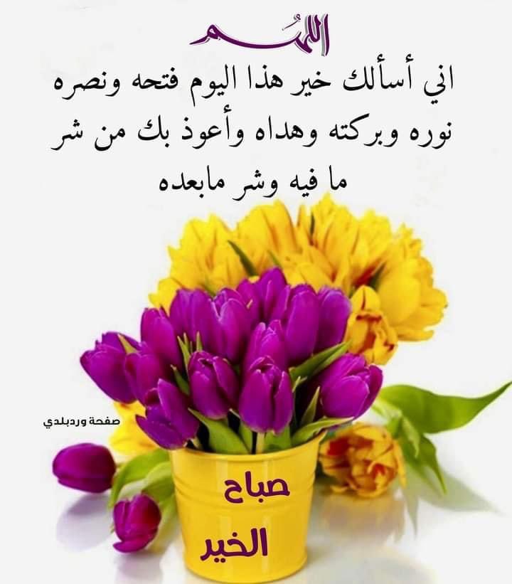 ..🕊أظلكم الله بالورود🌹
وسقاكم من نهر الخلود
وعطر حياتكم بالعنبر والعود
وأدخلكم وأهليكم جنات الخلود
وصرف عنكم كل حاسد وحقود
إنه لطيف ودود..🤲
أحبكم الله حبا تنالون به غفرانه
وتفوزون برضوانه وترتقون إلى جنانه .
صباح الورد 💞
♥️🌹