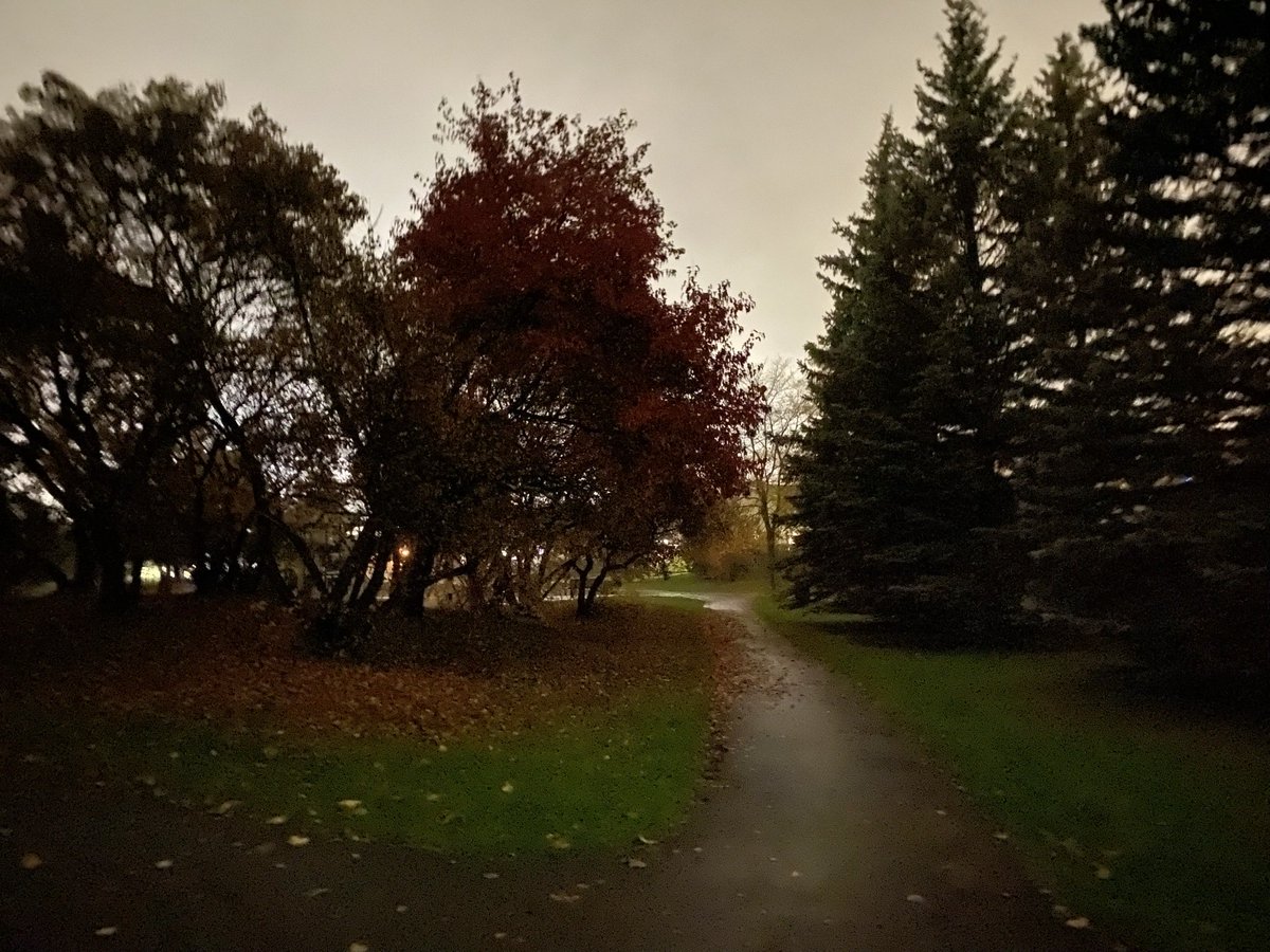 BiOttawaPerv's tweet photo. Would you let me suck your cock at night in places like these? Taken on a walk. 

#biottawa #ottawaswingers #ottawagay #bicouple #eastindian #exhibitionistguy https://t.co/evjCrUoHCf